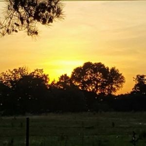 Meet your Posher, Paula winfree